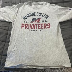 Champion Men's Grey and Multi Tshirt